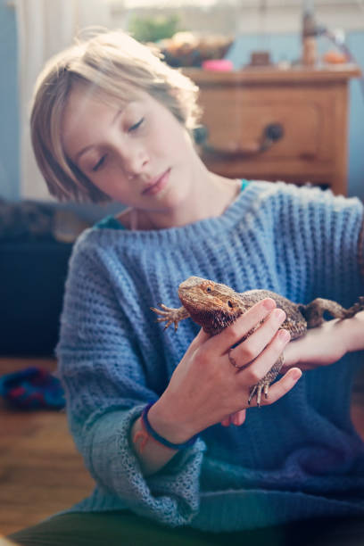 istock Young girl playing with lizard pet in her bedroom. 641597586