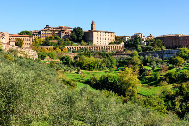 istock Olive trees in Siena, Tuscany, Italy 641598400