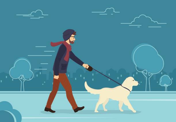 junger mann gehen im freien mit seinem hund am abend - color image retriever illustration technique horizontal stock-grafiken, -clipart, -cartoons und -symbole