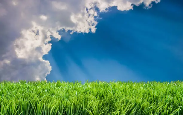 Suns rays beaming on lawn behind clouds