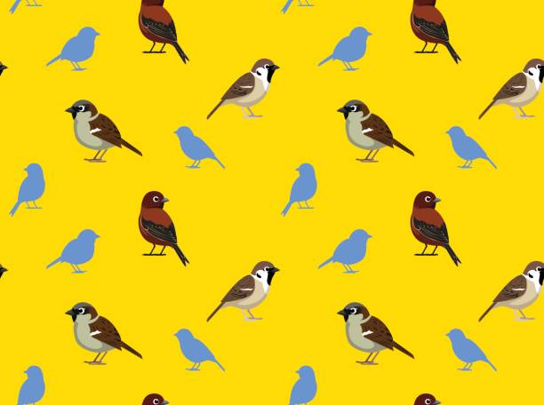 stockillustraties, clipart, cartoons en iconen met vogel mus wallpaper - house sparrow