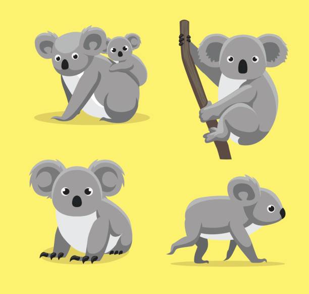 귀여운, 코알라, 포즈, 만화 벡터 일러스트 - koala stock illustrations