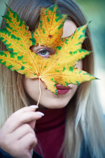 autumn beauty young blond hair woman portrait holding autumn leaf  looking through it at camera, blue eyes. beautiful multi colored tranquil scene enjoyment stock pictures, royalty-free photos & images