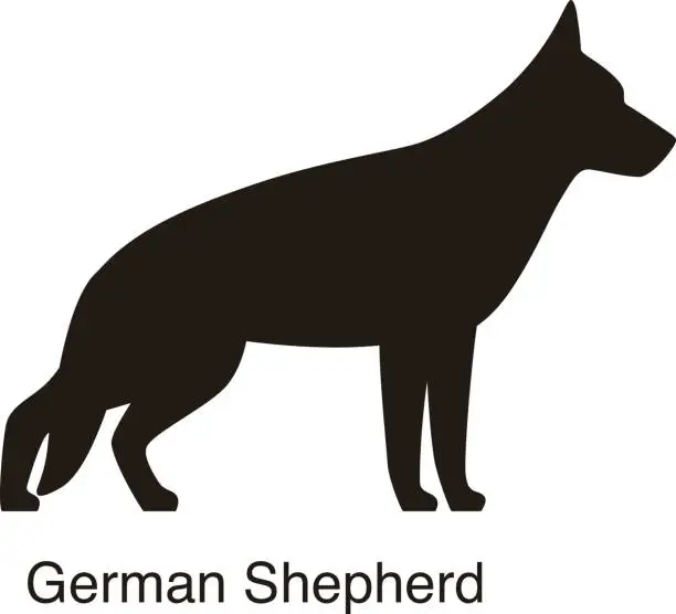 Vector illustration of German Shepherd dog silhouette, side view, vector