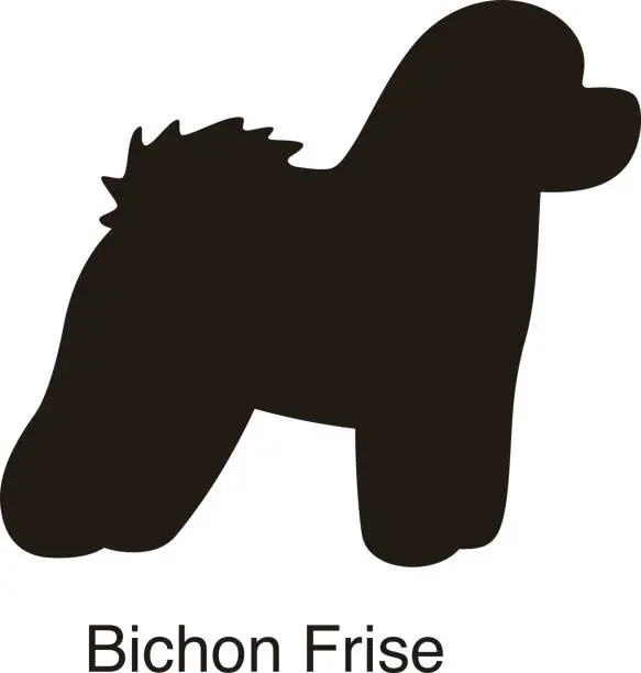 Vector illustration of Bichon Frise dog silhouette, side view, vector