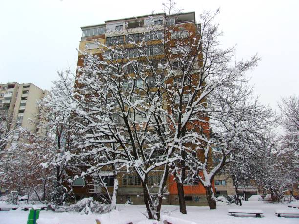 istock Winter Snowy Urban public park trees and building 641614868