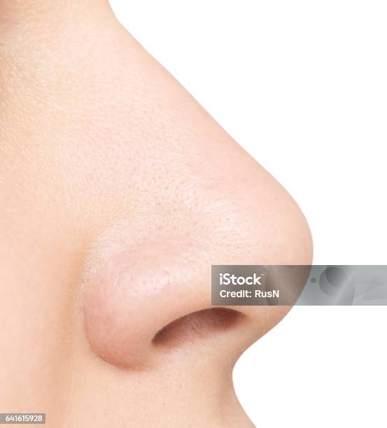 Nose Isolated On White Stock Photo - Download Image Now - Nose, Close-up, Cut Out