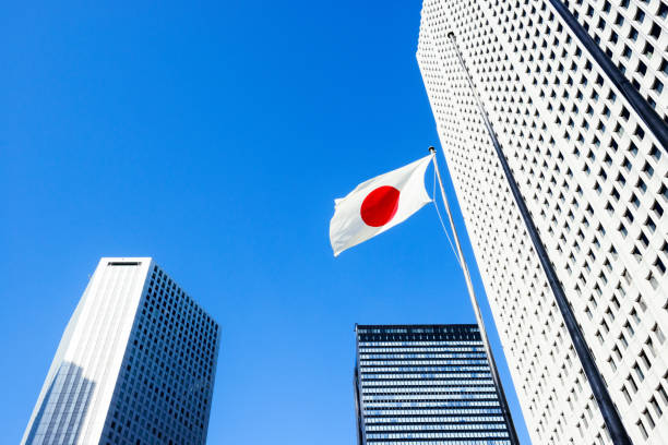 東��京、新宿 6/5000 tokio, shinjuku tokyo, shinjuku - japanese flag fotos fotografías e imágenes de stock