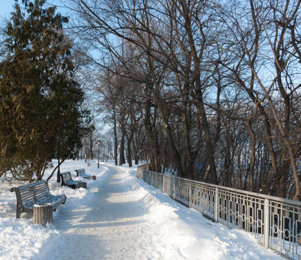 istock A park. Winter. Snow. Sunny morning. 641617046