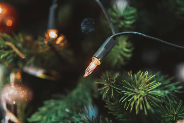 istock Christmas tree branch with toys 641620038