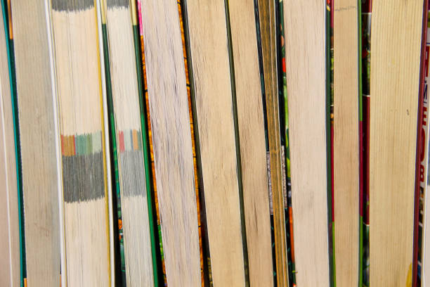 istock Many new books on a shelf 641621298