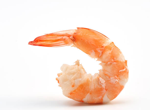 istock Tiger shrimp. Prawn isolated on a white background 641621638