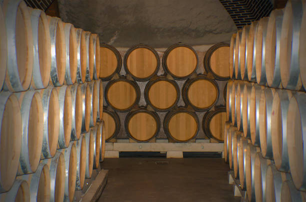 tonneaux de vin en bois - winery wine cellar barrel photos et images de collection