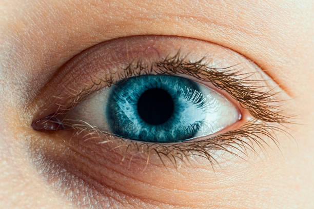 istock Female Blue Eye With Long Lashes Close Up. 641623524