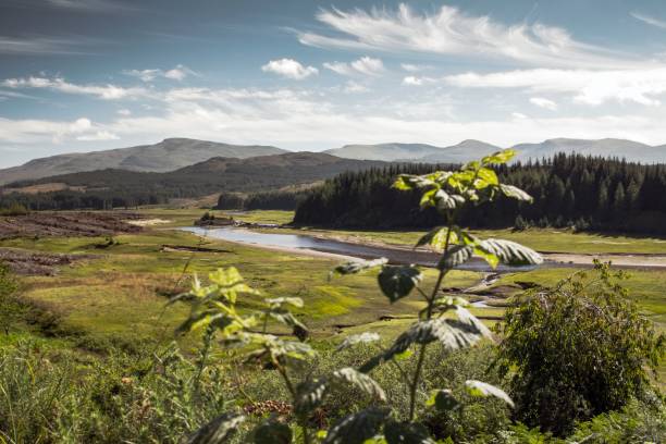 istock Highlands, Scotland 641627750
