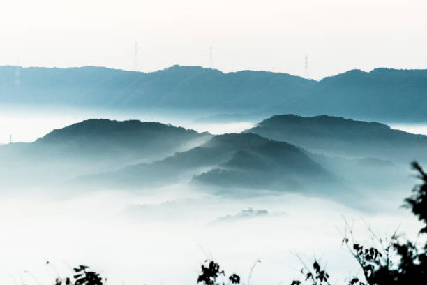 Morning Mist stock photo