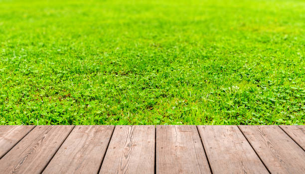 istock Wooden bridge and green grass 641629304