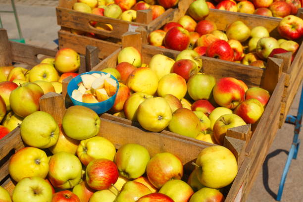istock Fresh apples in boxes at a market stall 641632040