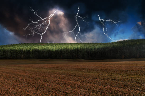 paisagem de inverno - storm corn rain field - fotografias e filmes do acervo