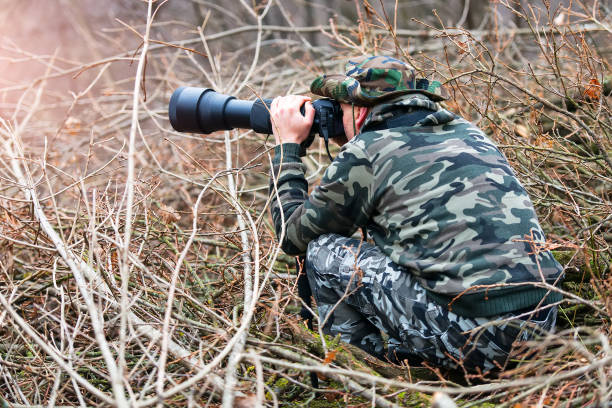 istock Photo hunting camouflaged in the branches 641632416