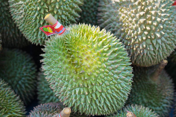istock Asian durian fruits 641639288