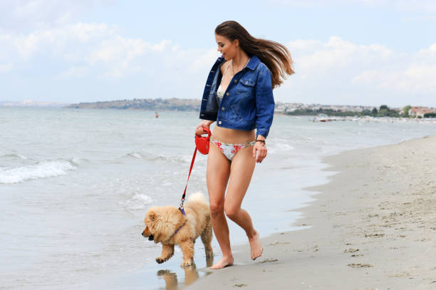 istock Woman and her dog on the beach 641643810