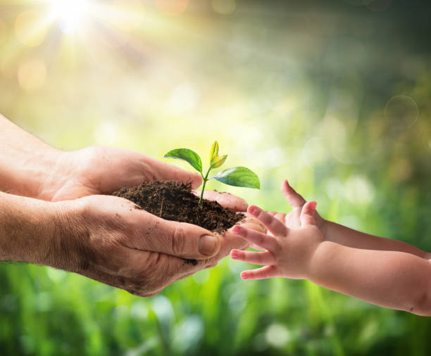 alter mann geben junge pflanze zu einem kind - plant environment stock-fotos und bilder