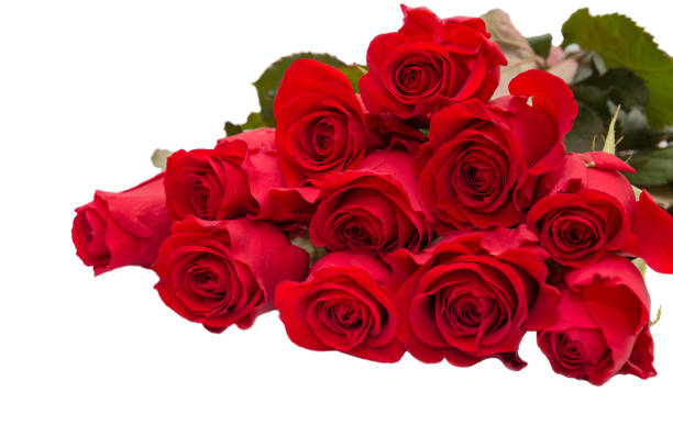istock Bouquet of red roses 641648030