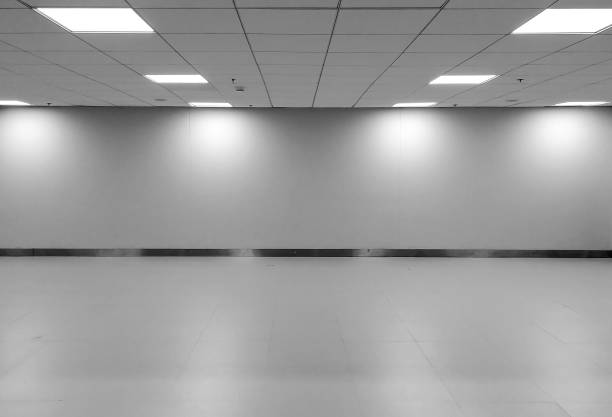 Perspective view of Empty Space Classic Monotone Black White Office Room with Row Ceiling LED Light Lamps and Lights Shade on Wall for Gallery Interior / Template to Mock Up Display Office Furniture Perspective view of Empty Space Classic Monotone Black White Office Room with Row Ceiling LED Light Lamps and Lights Shade on Wall for Gallery Interior / Template Mock Up Display Office Furniture unfurnished stock pictures, royalty-free photos & images