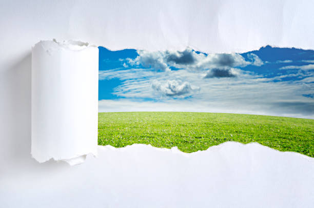 istock Torn paper with nature in opening background 641649602