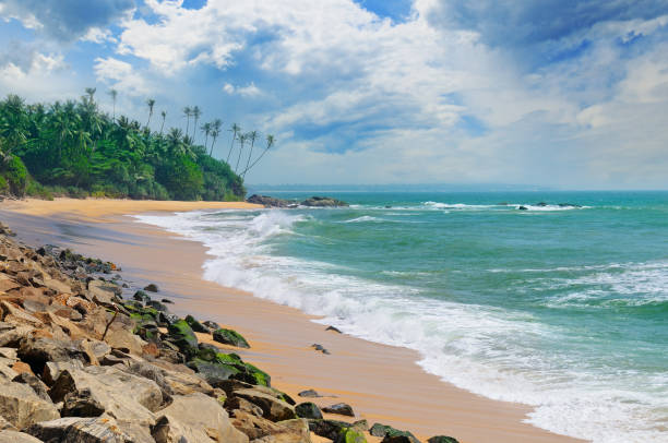 istock ocean, picturesque beach and blue sky 641650458