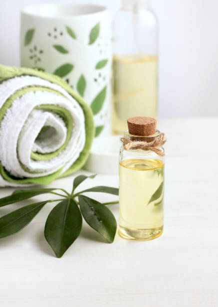 istock Essential oil bottle, decor plant. 641653180
