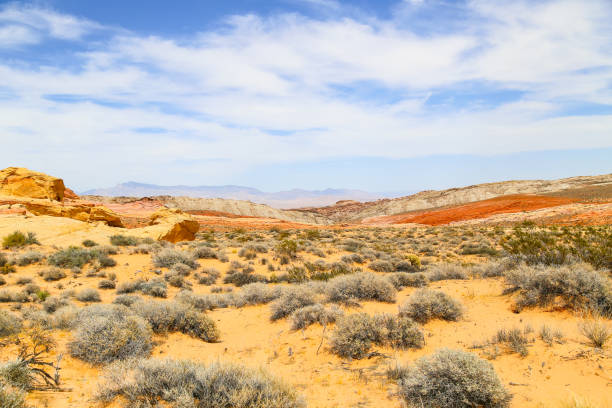 istock Color Diversity in the Valley of Fire 641656100
