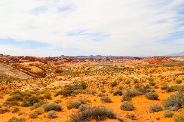 istock View into the Valley of Fire 641656422