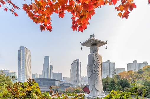 Bongeunsa Temple in autumn red leaves Seoul, Korea.