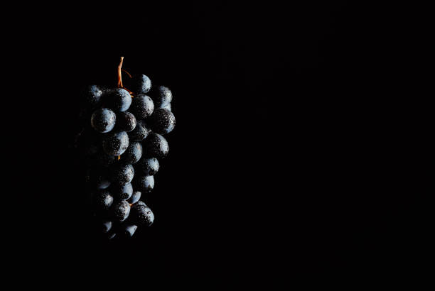 istock Bunch of red grapes on a black background - text space on the right 641657488