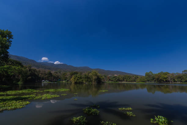 istock Ang Kaew reservoir in Chiang Mai University 641658104