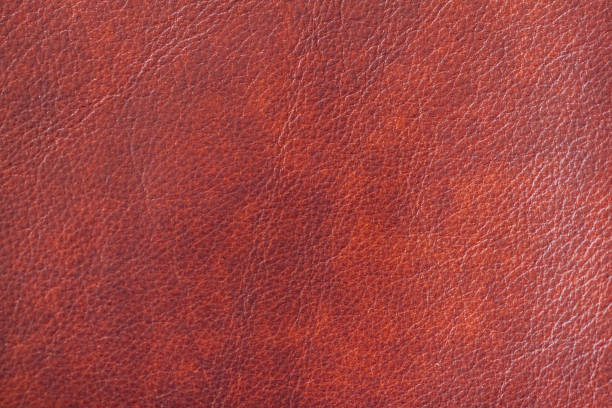 istock Texture of Genuine Leather shiny, antique, cracked, ,maroon color, background, surface 641659362