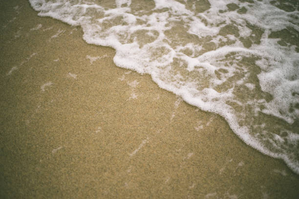 istock Soft wave of ocean on the sandy beach 641659854