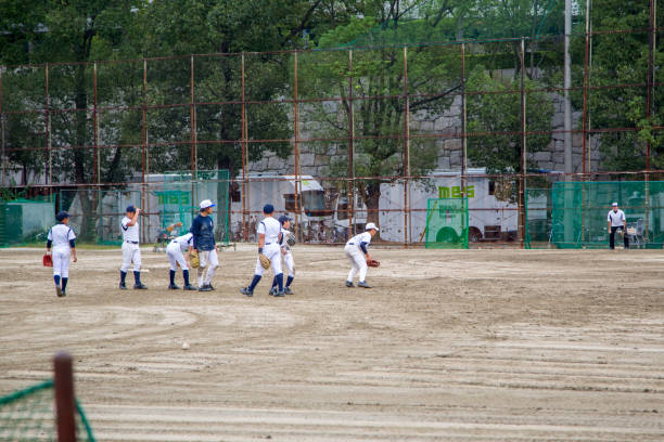 Baseball thrown over   home plate.