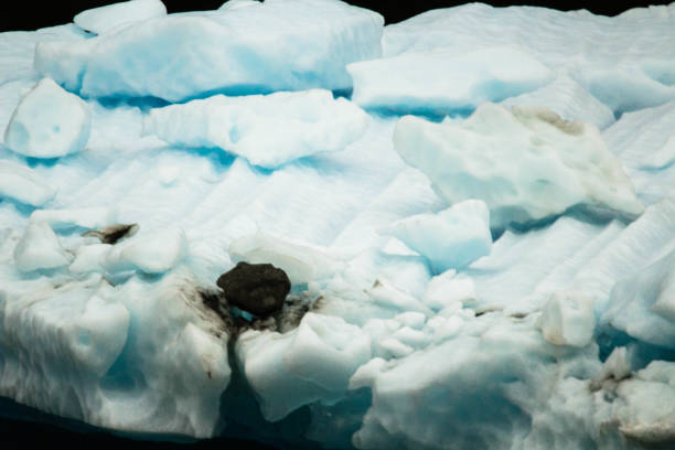 istock Iceberg in Tracy Arm 641666328