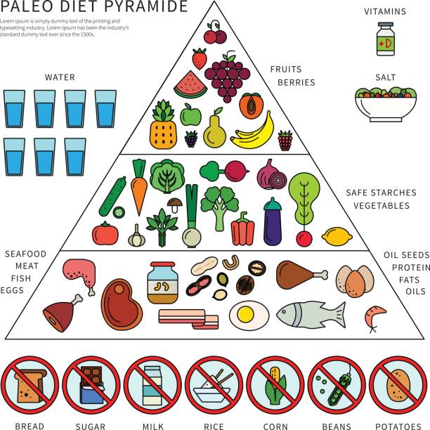 ilustraciones, imágenes clip art, dibujos animados e iconos de stock de pirámide de la dieta de paleo - dieta paleolítica