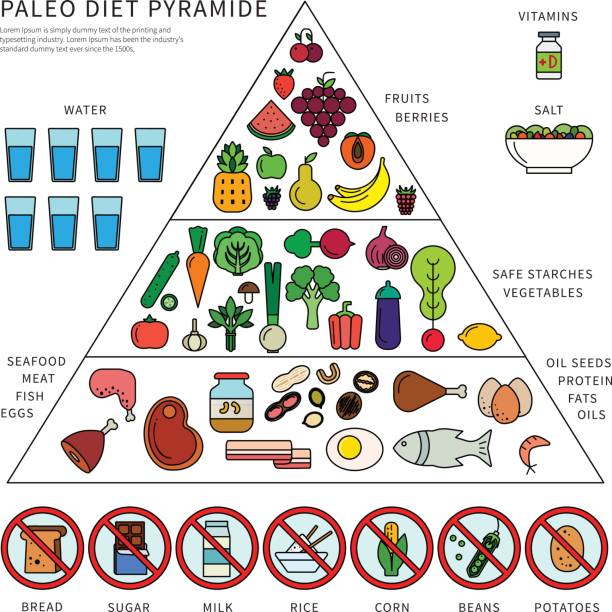 Paleo diet pyramid Thin line flat design of the pyramid of paleo diet. Healthy eating consept, icons of products in three levels, fats, oils, seafood, meat, water, vegetables and fruits paleo stock illustrations