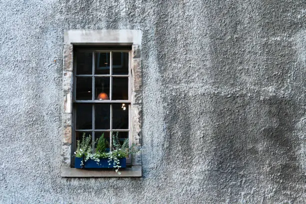 Stone Window and Plant on Old Wall, Edinburgh, Scotland
