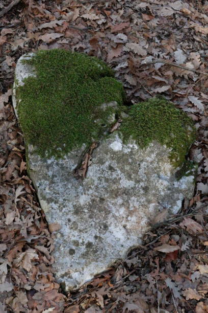 istock Heart of Stone 641670896