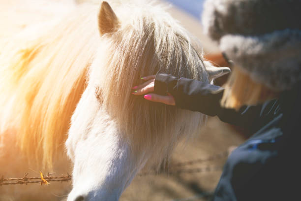 istock Woman cuddle a horse 641673488