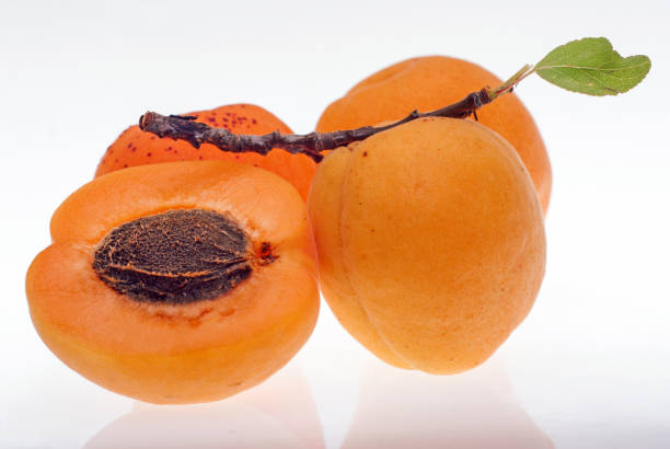 istock ripe apricots isolated on white 641677092