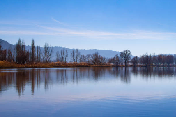 istock Naked Trees Overlooking the Lake 641686550