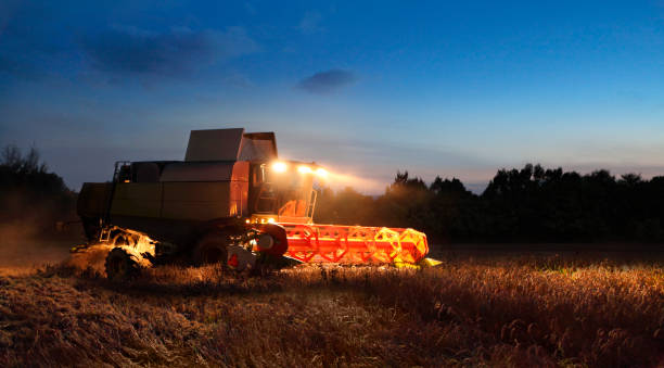 istock Combine harvesting barley by night 641687504