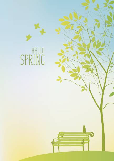 나무와 봄 풍경 - glade branch vector landscape stock illustrations